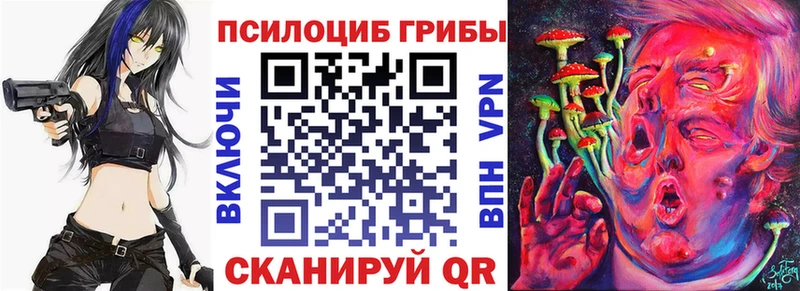 Купить закладки  Кольчугино  Псилоцибиновые грибы MAGIC MUSHROOMS 